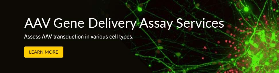 r2g-aav-gene-delivery-banner