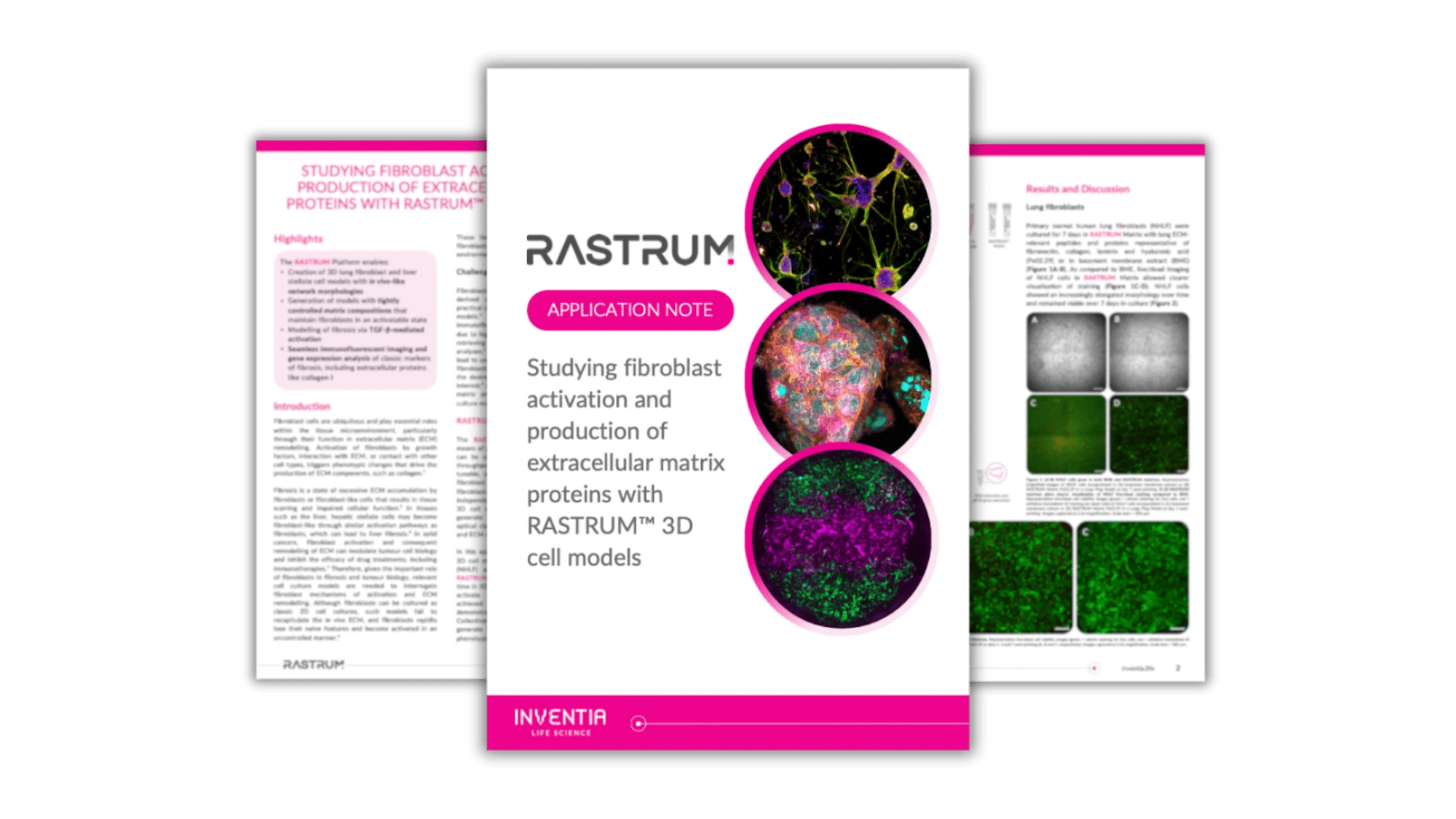 inventia-fibroblast-activation-with-rastrum-3d-cell-models-application-note