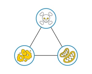 toxicity-framework-v2