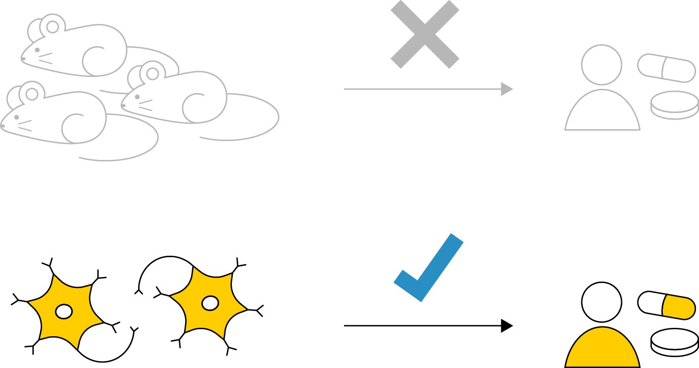 translational-gap-v5