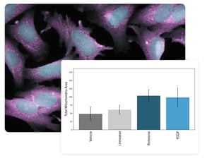 mitochondrial-health-data