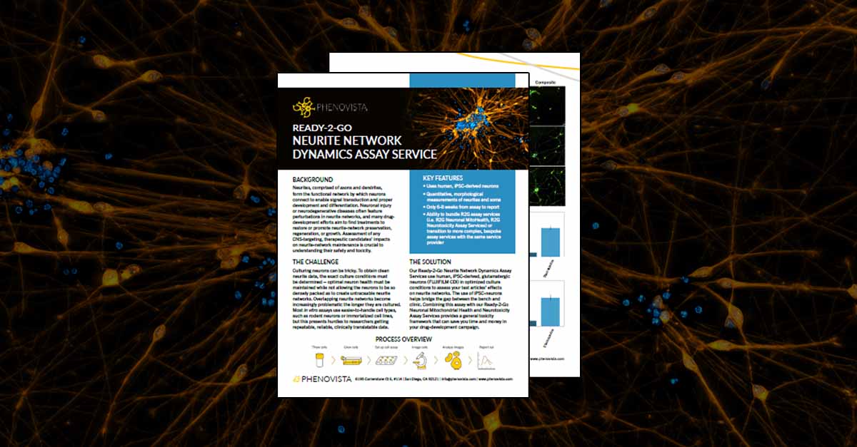 R2G-neurite-network-dynamics-1200x627-v2