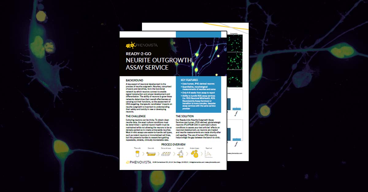 R2G-neurite-outgrowth-1200x627-v2