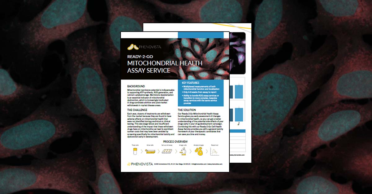 r2g-mitohealth-1200x627-v2