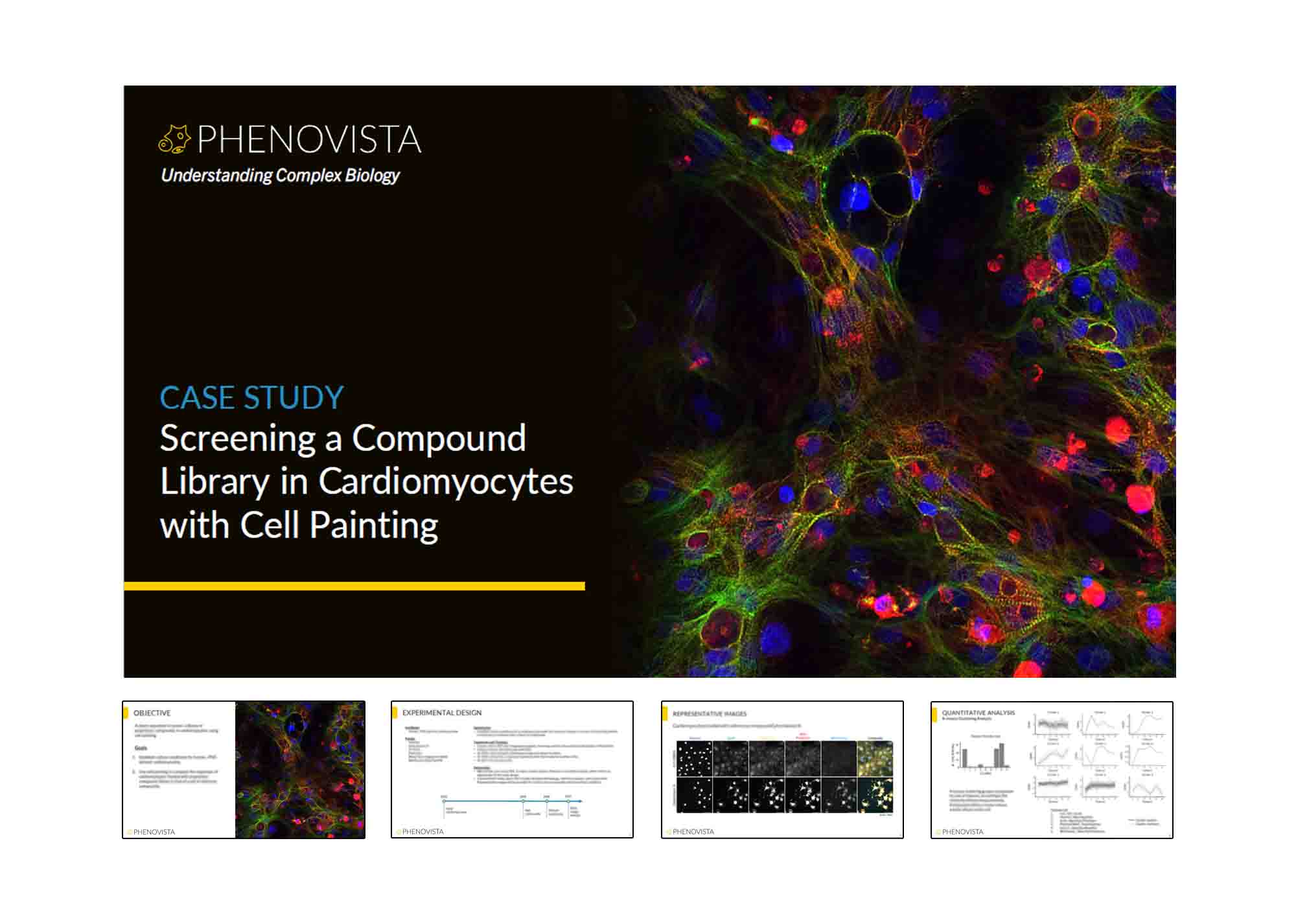 cardiomyocytes-cell-painting-thumbnail