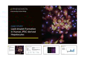 hepatocytes-adipogenesis-thumbnail