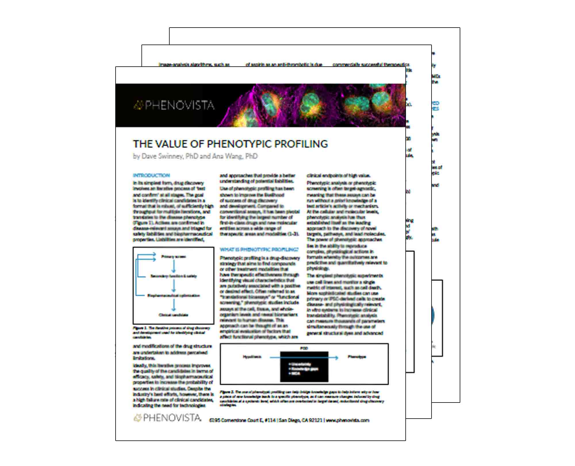 value-phenotypic-profiling-thumbnail