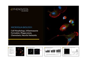 microglia-capabilities-thumbnail