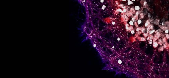 expertise-banner-v2