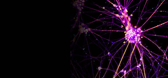 image-analysis-banner