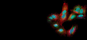 investigative-toxicology-banner