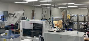 lab