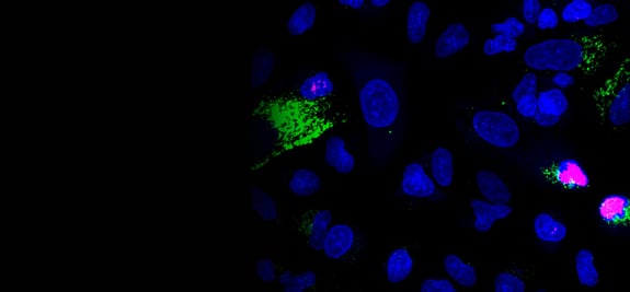 r2g-cell-health-banner