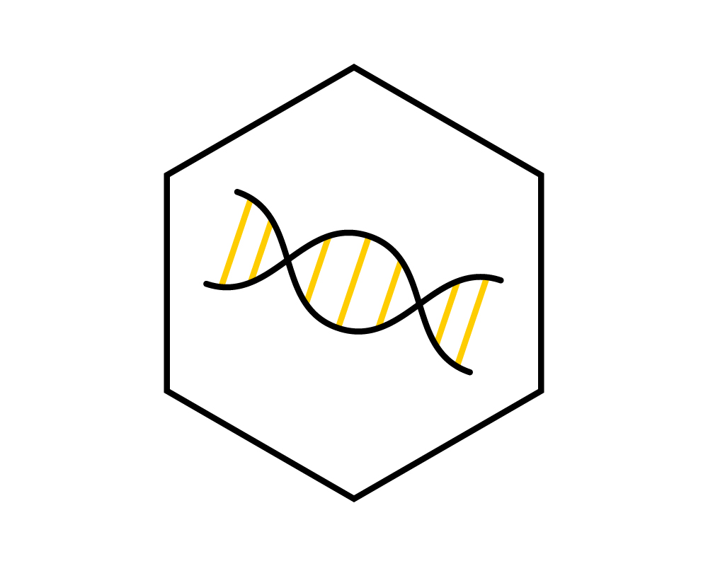 aav-icon