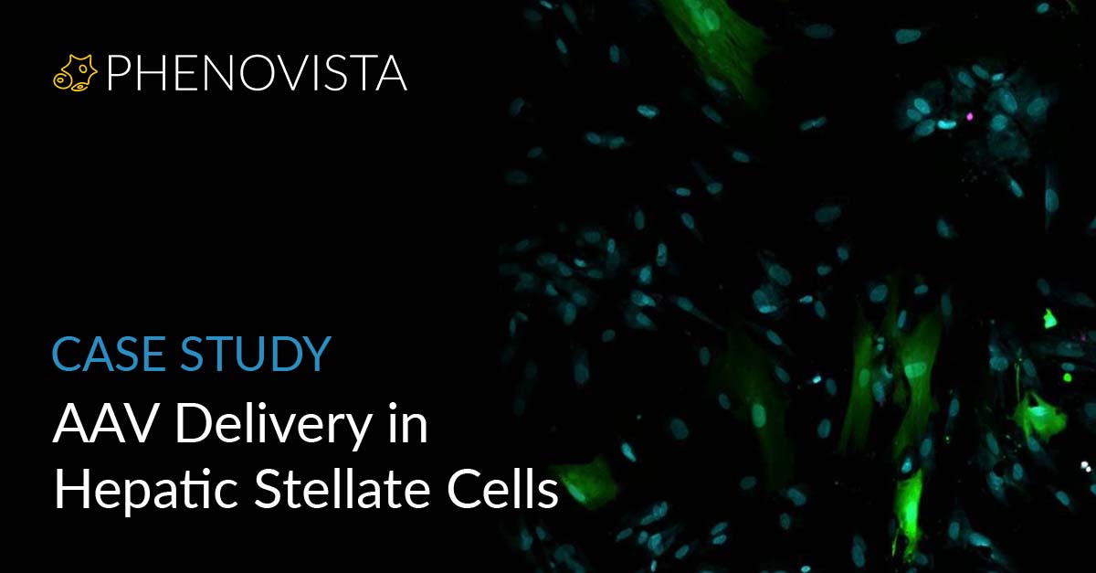 AAV-in-HSCs-thumbnail-1200x627