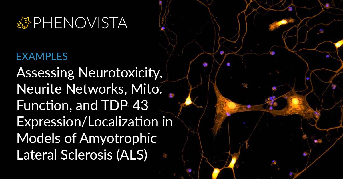 ALS-examples-thumbnail-1200x627