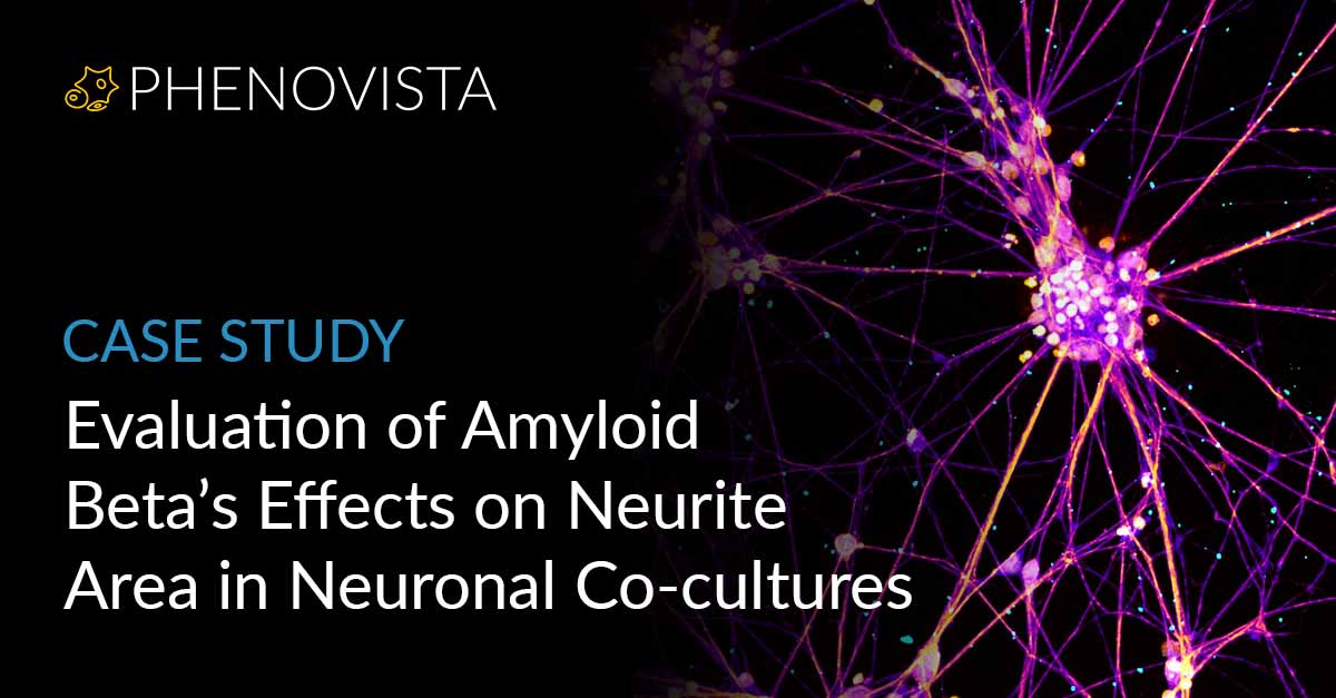 Abeta-neuronal-co-culture-thumbnail-1200x627