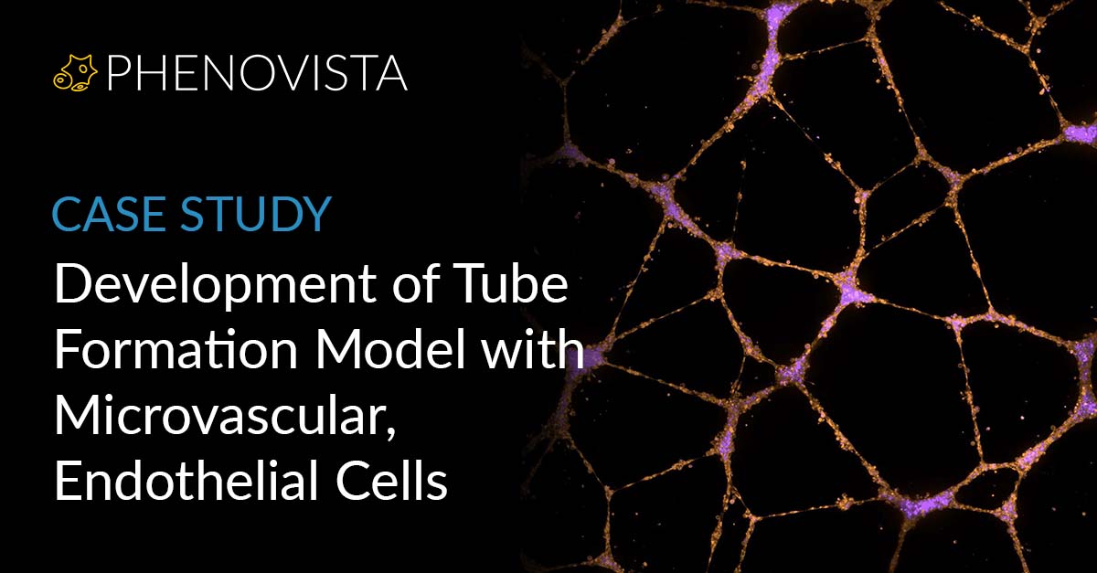 HMEC-tube-formation-thumbnail-1200x627