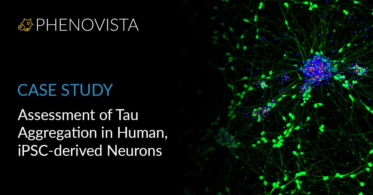 Tau-aggregation-in-iPSC-Neurons-thumbnail-1200x627