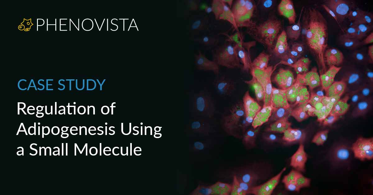 adipogenesis-using-small-molecule-thumbnail-1200x627