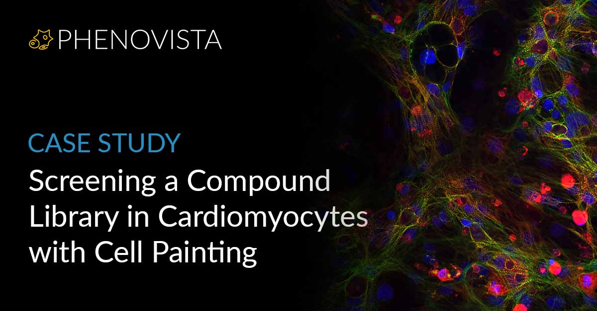 cardiomyocytes-cell-painting-thumbnail-1200x627