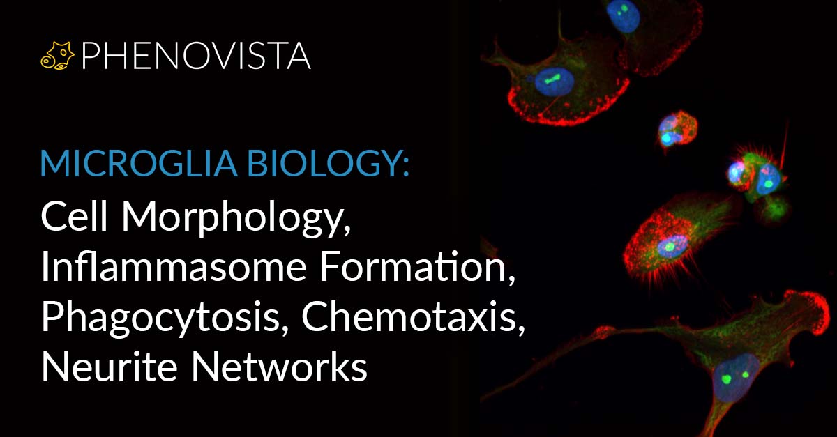 microglia-capabilities-thumbnail-1200x627