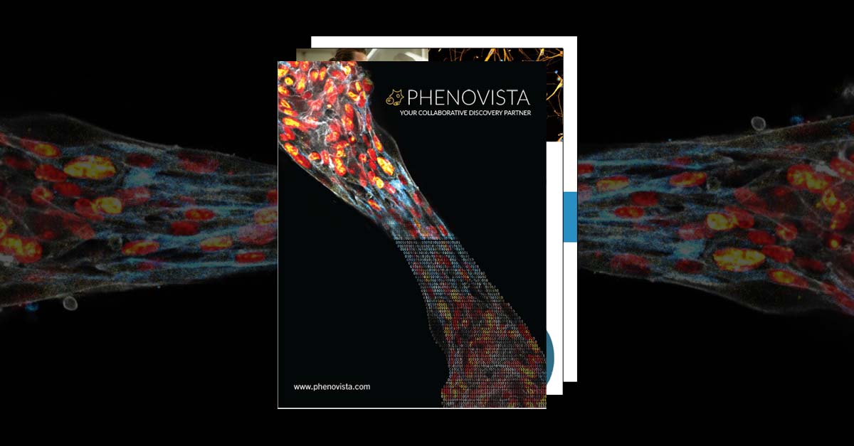 phenovista-brochure-thumbnail-1200x627-v2